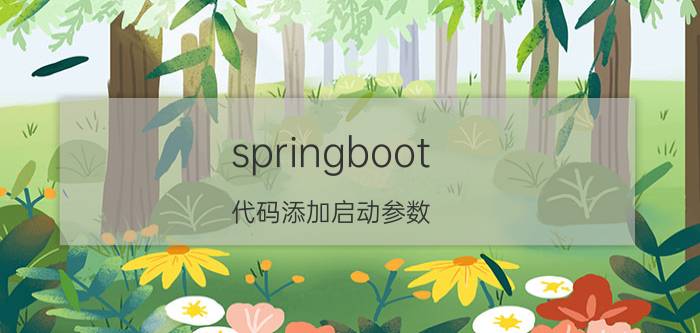 springboot 代码添加启动参数 springboot怎么启动？